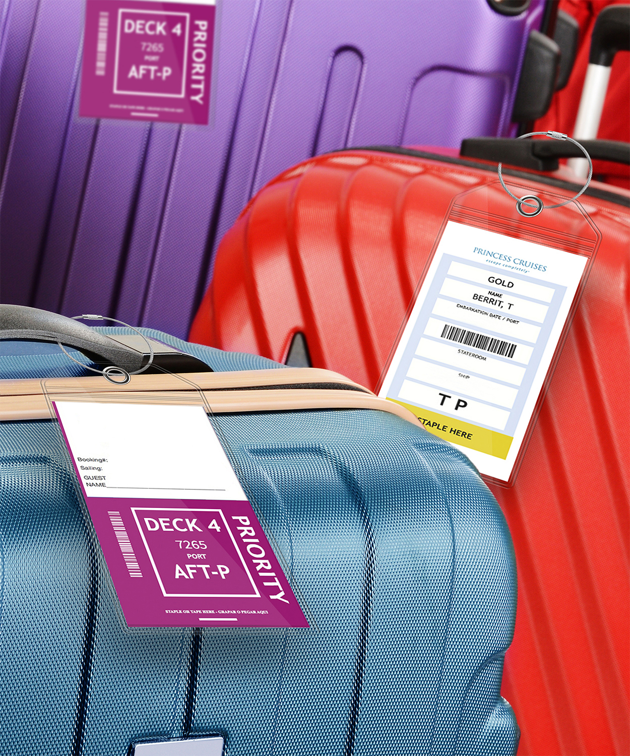 cruise luggage label holders